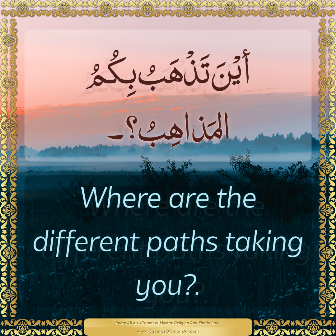 Where are the different paths taking you?.